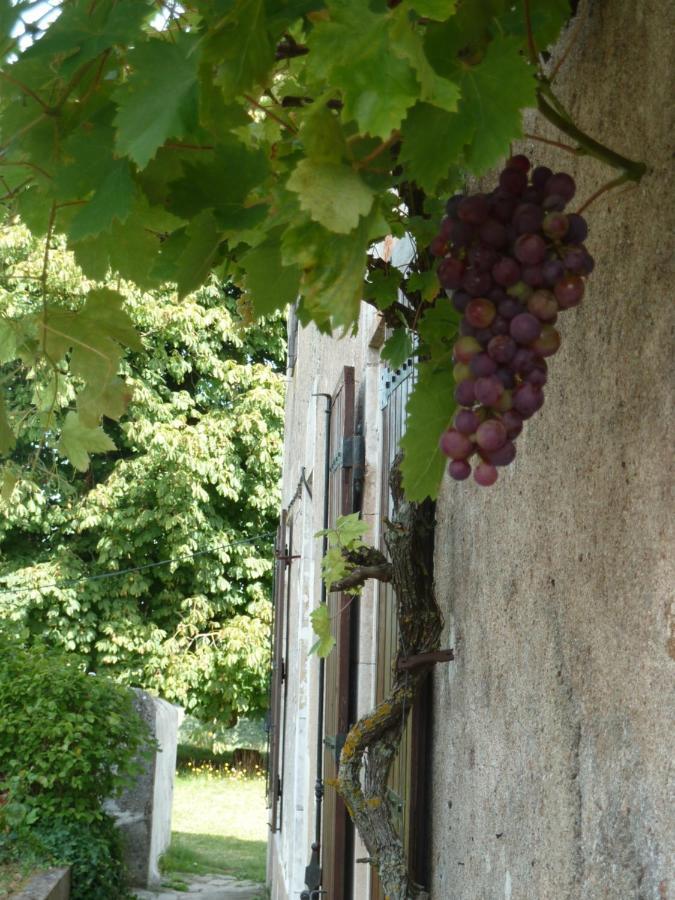 A L'Ombre Du Marronnier Gites La Peruse 외부 사진